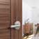 Davlin Lever With Remsen Trim Hall And Closet Lock