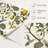 Blue Bird Lemon Tree Peel and Stick Wallpaper