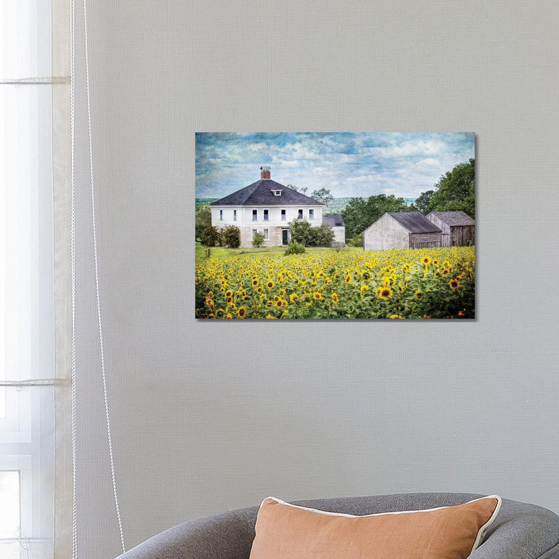 Sunflower Farm by Karen Burke - Wrapped Canvas Print, 45.72cm H x 66.04cm W x 1.905cm D