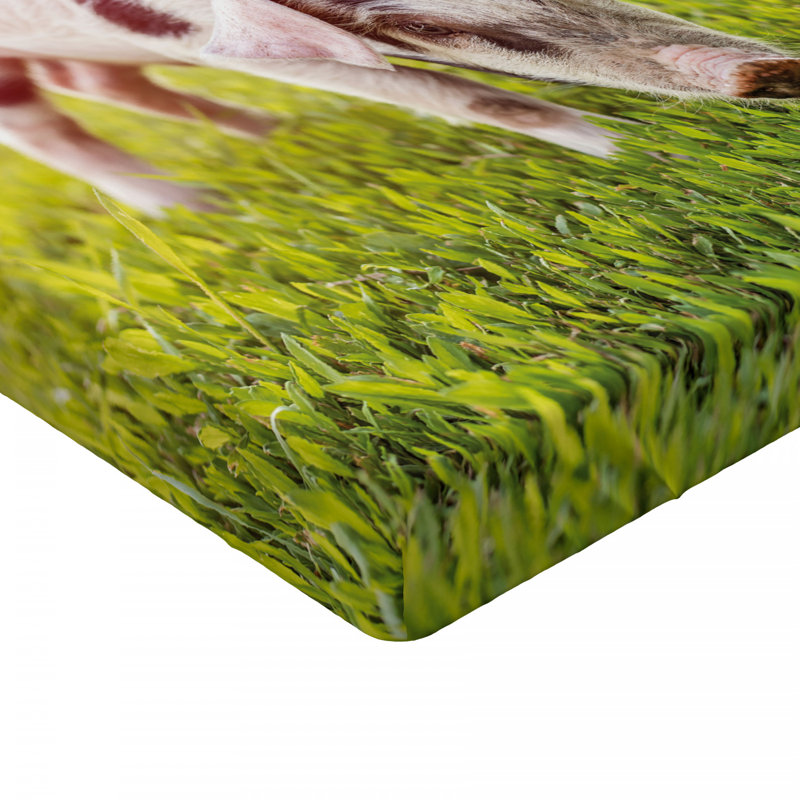 Microfiber Fitted Sheet, Full Fitted Sheet