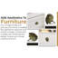 Paquet de 2 boutons de fantaisie Briar