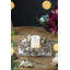D11.8" Boxwood Candle Ring Set Of 6