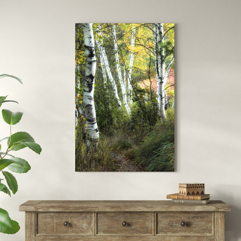 Birch Path III, H 48 po x l 32 po x P 1,25 po