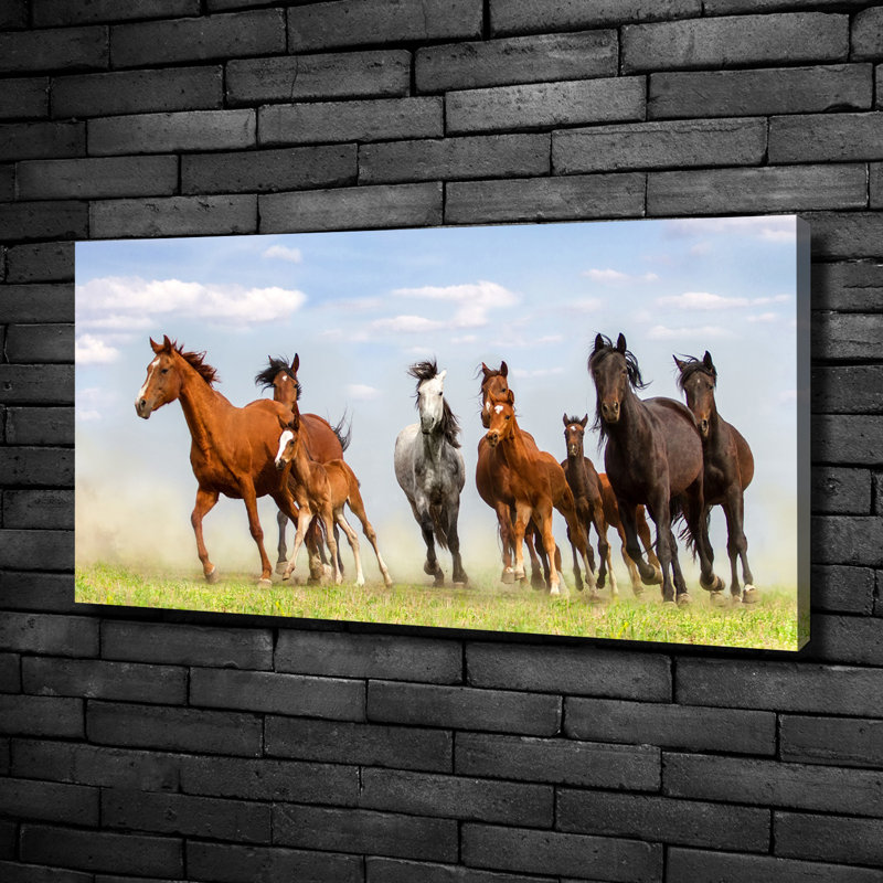 Horses In A Gallop - No Frame Print on Canvas