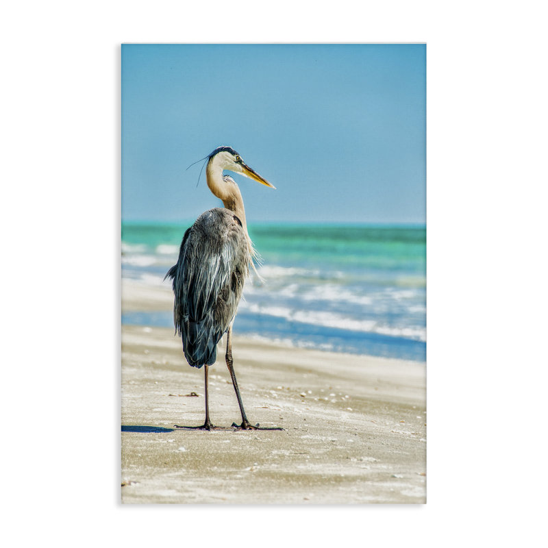 Art mural sur toile Reflection Beach Bird par Mary Lou Johnson, H 45 po x l 30 po