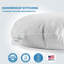 95% plumes, 5% duvet et coussin décoratif-36523638