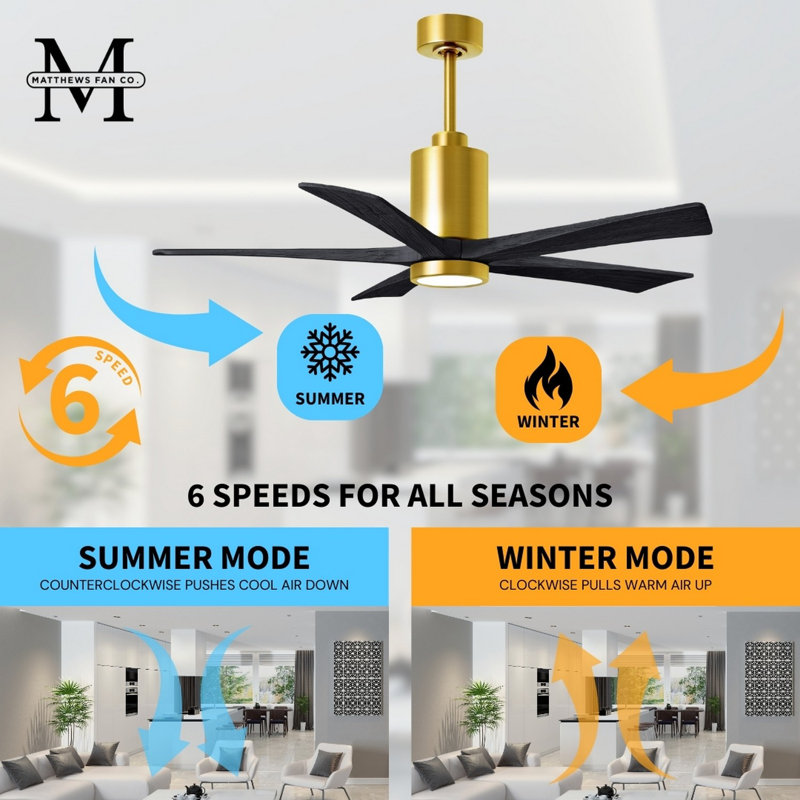 Patricia LED Downrod Ceiling Fan, Matte Black, Brushed Brass