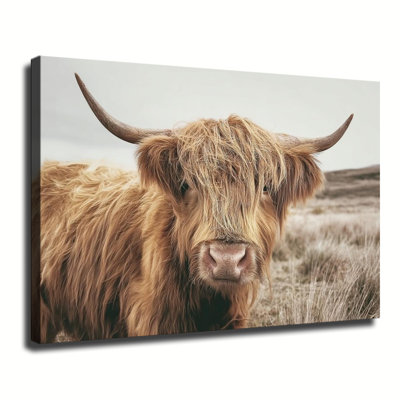 Scottish Highland Cow In Meadow Photography, Large Gallery Wrapped Canvas Wall Art Print For Living Room Bedroom