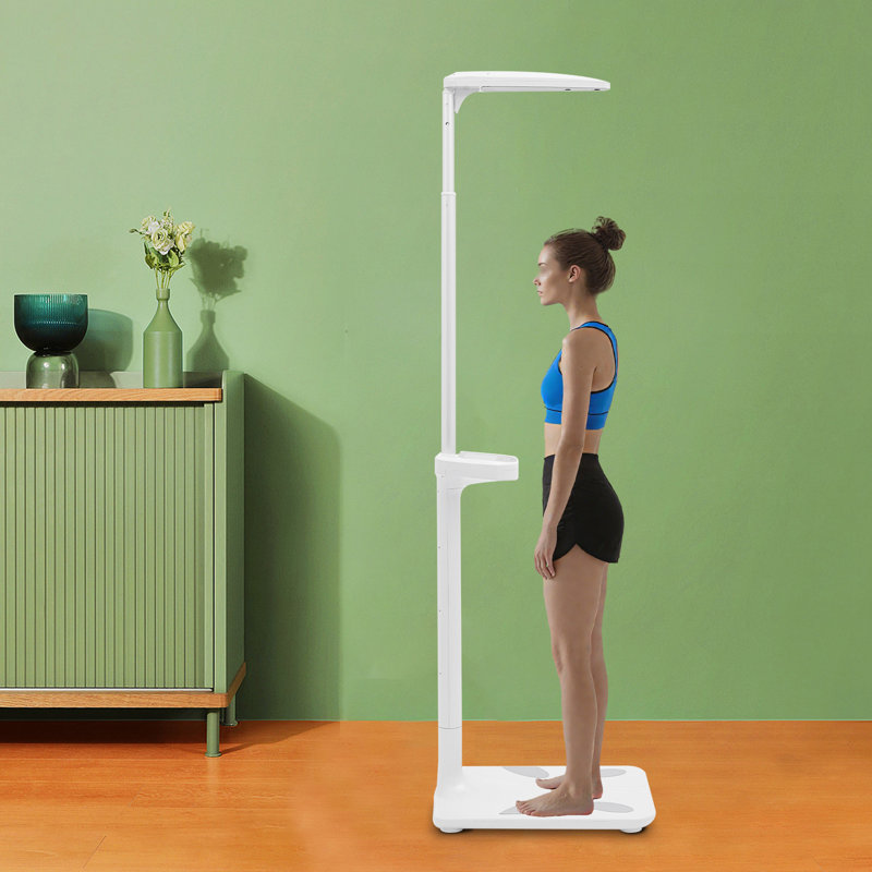 Multifunctional Digital Physician Scale 440LB 
