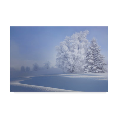 « crispy matin », reproduction de photo sur toile tendue