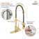 Spring Standard Kitchen Faucet with Dual-Function Spray Head and Deck Plate