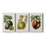 Fruit of the Tropics IV - Toile tendue sur mesure avec châssis - 3 pièces-827793516