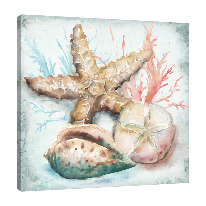 'Sea Shells II' by Tre Sorelle Studios Watercolour Painting Print on Wrapped Canvas, 91.44cm H x 91.44cm W
