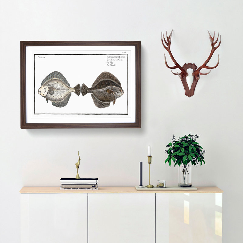 Flounder Fish by M.E. Bloch - Framed Print, 36cm H x 48cm W x 2cm D, Walnut Framed