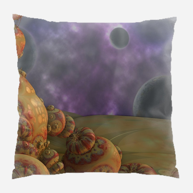 Coussin décoratif space