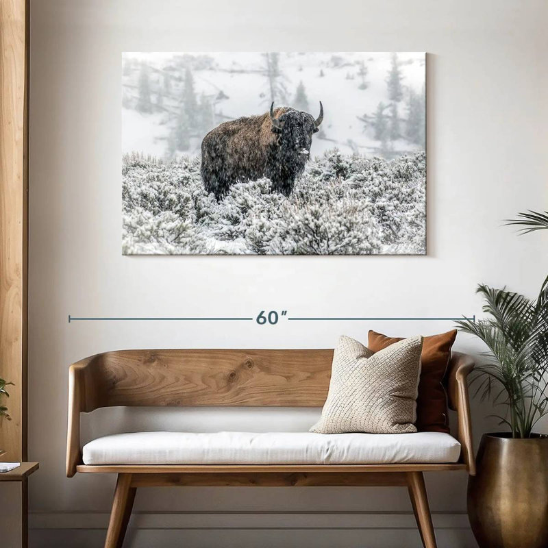 Brampt Lamar Valley Bison
