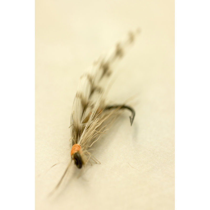 Macro Lure IX by Judy Stalus - Wrapped Canvas Print, 30cm H x 20cm W