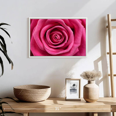 Hot Pink Rose