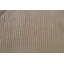 Striped Area Rug in Beige