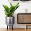 Metallic Concrete Effect Cylinder Round Planter on Hardwood Legs, Round Indoor Plant Pot Stand for Indoor Plants, Indoor Flower Pot-1091484464-1091484465
