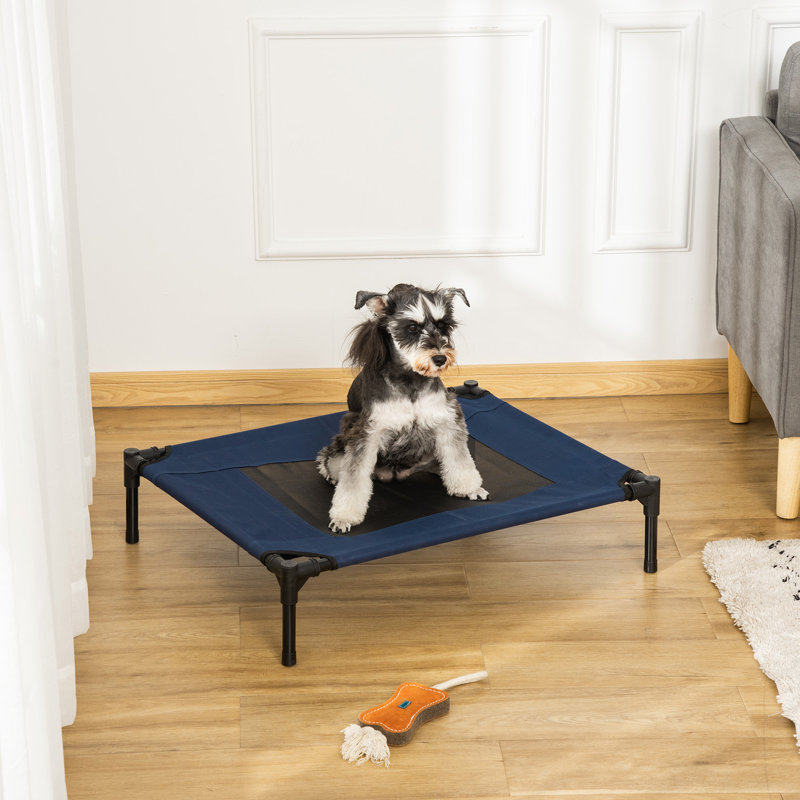 Tucker Murphy Pet™ Boggs Elevated Dog Bed/Pet Cot & Reviews - Wayfair ...