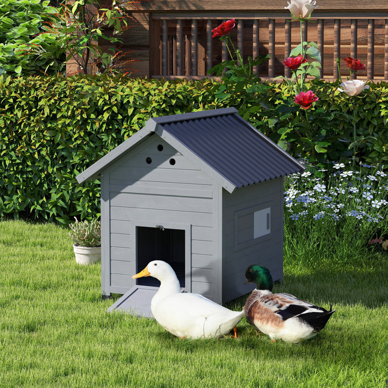 Duck Coop, Wooden Duck House, Outdoor Small Animal House with Openable Roof, Double Doors, Removable Base for 1-3 Ducks, Light Gray