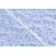 Rosée blue Queen printed quilted coverlet-2019547913-2019547916-2019547915