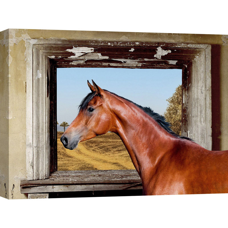 Arab King Horse by Julian Lauren - Wrapped Canvas Print, 60cm H x 80cm W x 4cm D