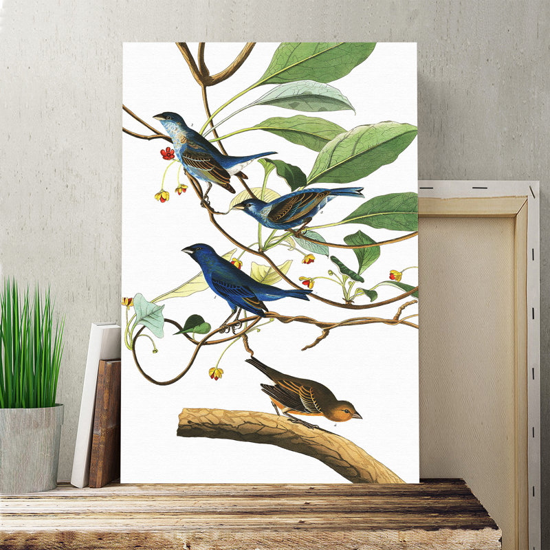 John Audubon - Wrapped Canvas Painting, 60cm H x 40cm W