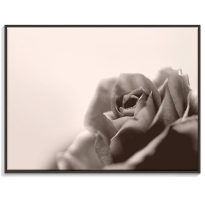 Print on Canvas