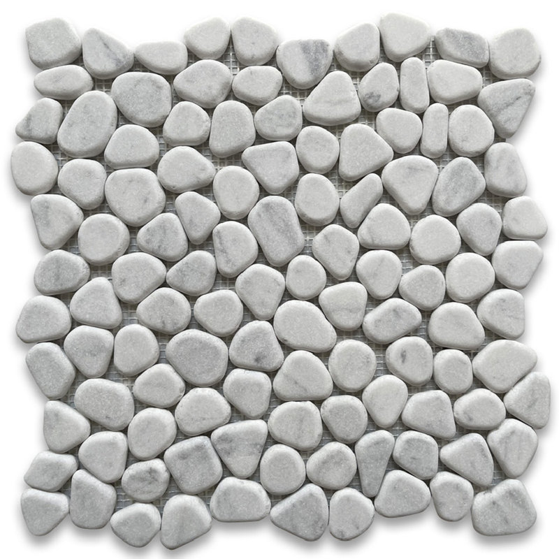 Carreau de mosaïque 12 po x 12 po
