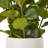 Hydrangea Arrangement in Pot-111171252