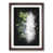 Walnut Framed selected