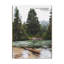 My Shield Ps 119:114 - Wrapped Canvas Print-1000484214