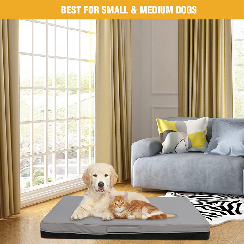Cutaia Orthopedic Polyester Pet Bed, Large (44.1" W x 32.3" D x 4" H)
