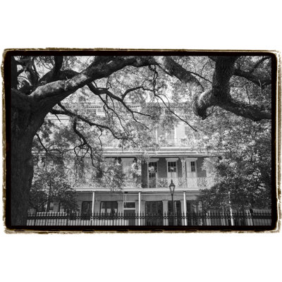 " Jackson Square, New Orleans " by Laura DeNardo
