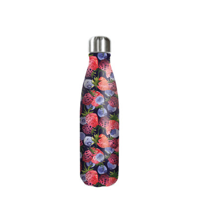 WD Lifestyle 16.9oz. Insulated Stainless Steel Water Bottle