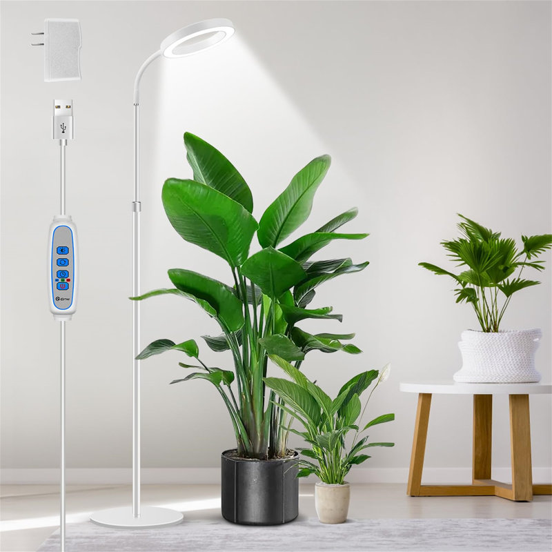 Naomi Grow Light