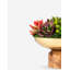 Petra Succulent Wooden Pedestal Arrangement
