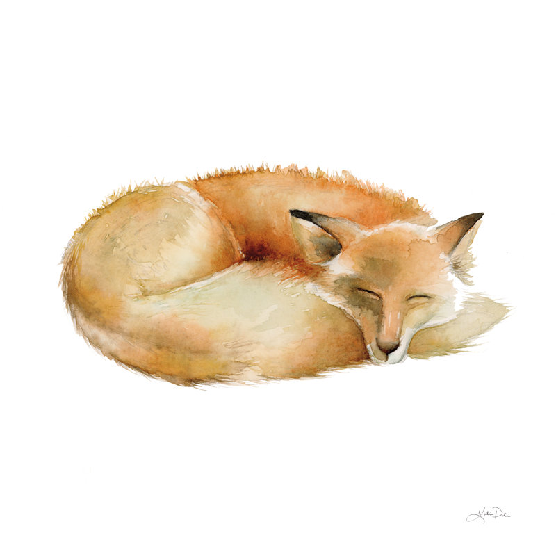 Sleeping Fox On White by Katrina Pete - Wrapped Canvas Painting, 76cm H x 76cm W
