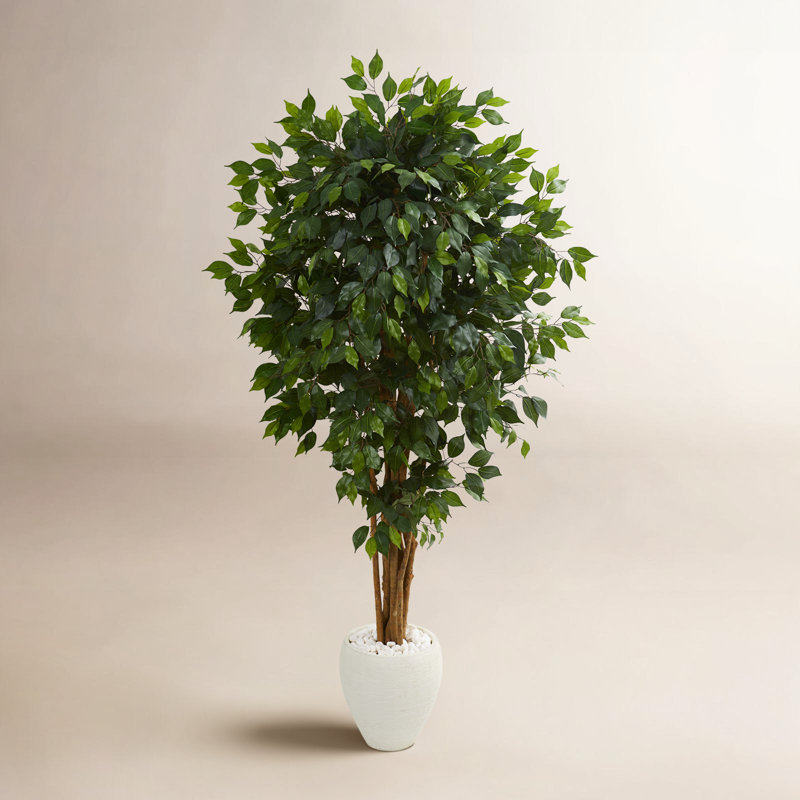 72'' Faux Ficus Tree in Ceramic Planter