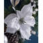 Faux Lighted 61cm Wreath
