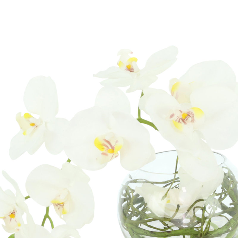 Orchid and Curly Willow Arranged in a Glass Vase
