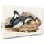Little Penguins by Elizabeth Gould - Wrapped Canvas-55365424