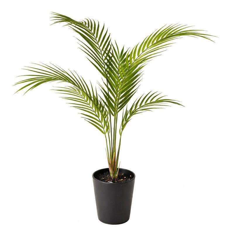 Anneloes 70 cm H Faux Palm Tree Plant in Plastic Pot Liner