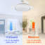 Dinae 42'' Ceiling Fan with LED Lights-87789823