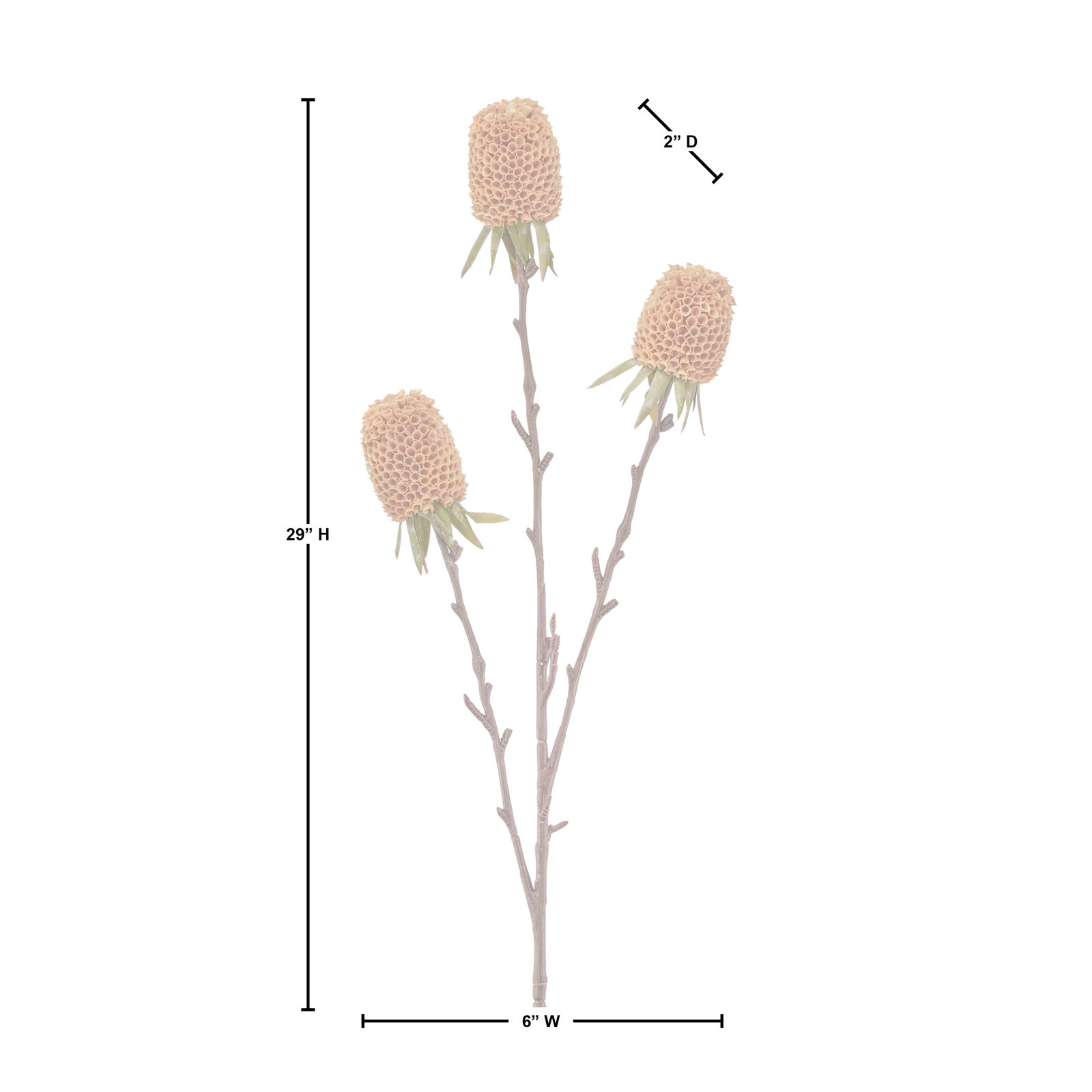 29" Autumn Thistle X3, Coral
