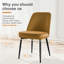 Antavious 49cm H Velvet Upholstered Upholstered Back Side Chair-1473534386