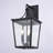 Cottage Grove 21 in. H 3-Light Matte Black Transitional Outdoor Wall Sconce made of Durable Steel, Clear Glass Shade, LED Compatible, Use for Exterior Porch Patio Front Door or Garage