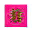 Leopard Seeing Double Hot Pink Acrylic Candy Catchall Dish